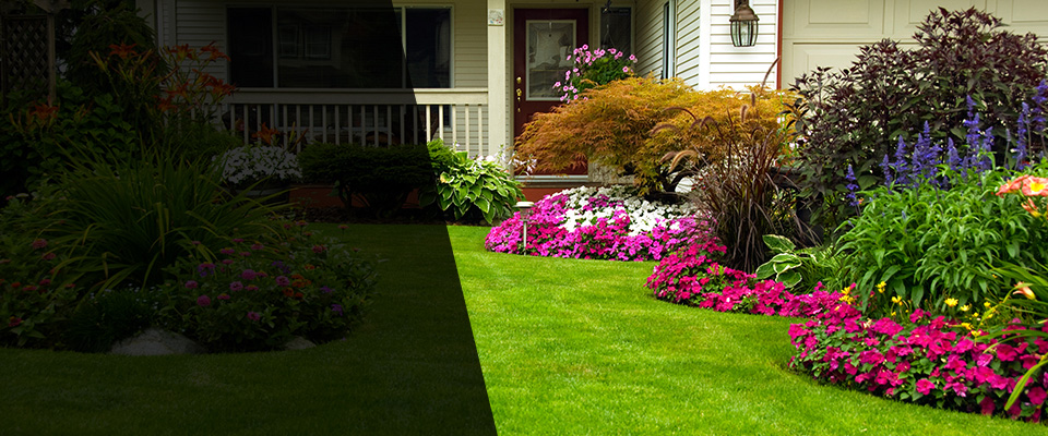 Donnelly Landscapers