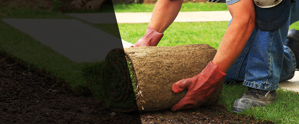 Donnelly Landscapers